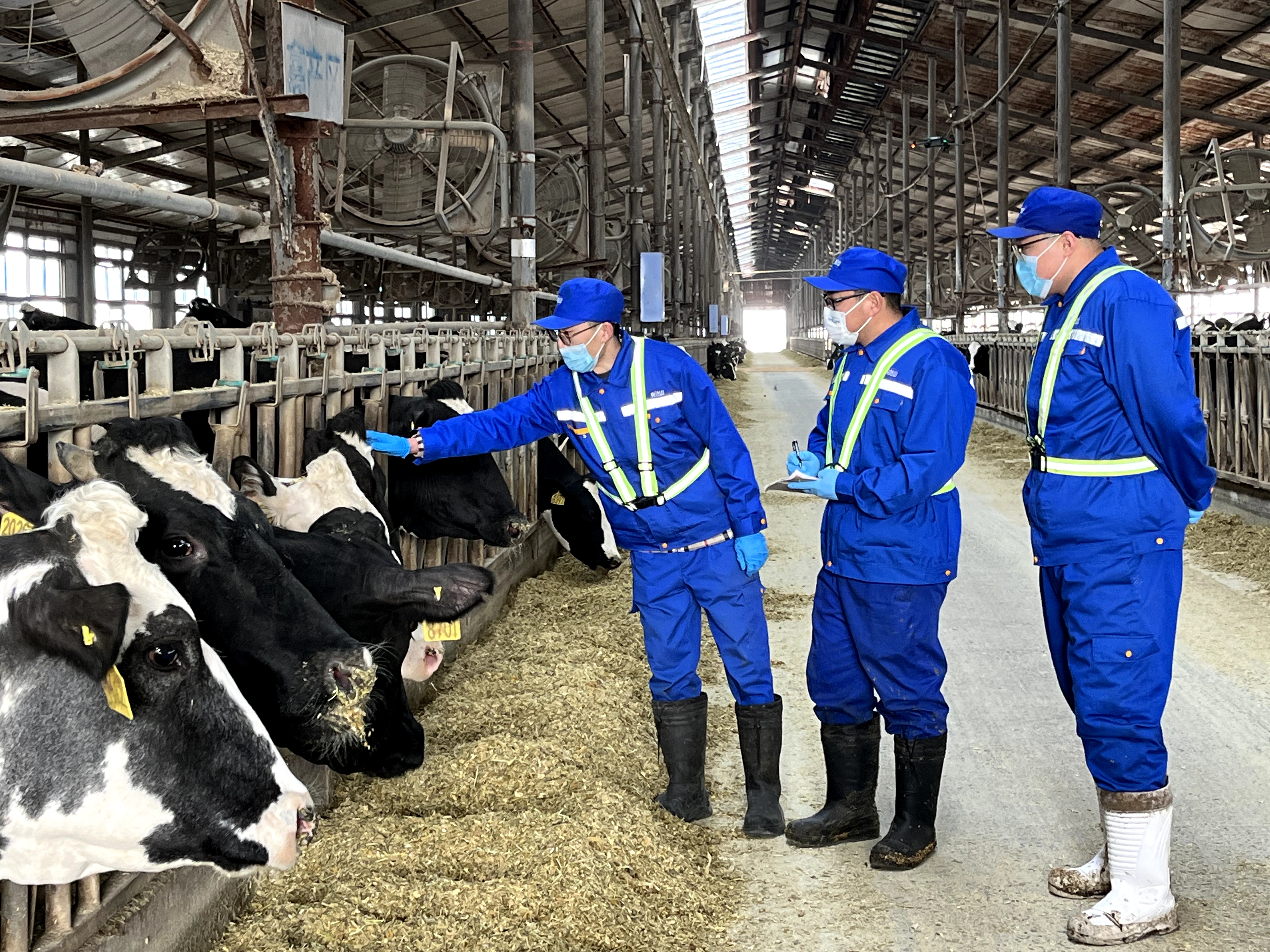 1748238462984023293.jpg a26ecfd889ced32a08a7934fa1d4274.jpg